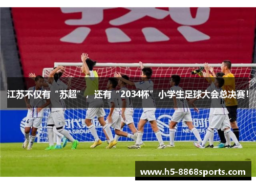 江苏不仅有“苏超”，还有“2034杯”小学生足球大会总决赛！